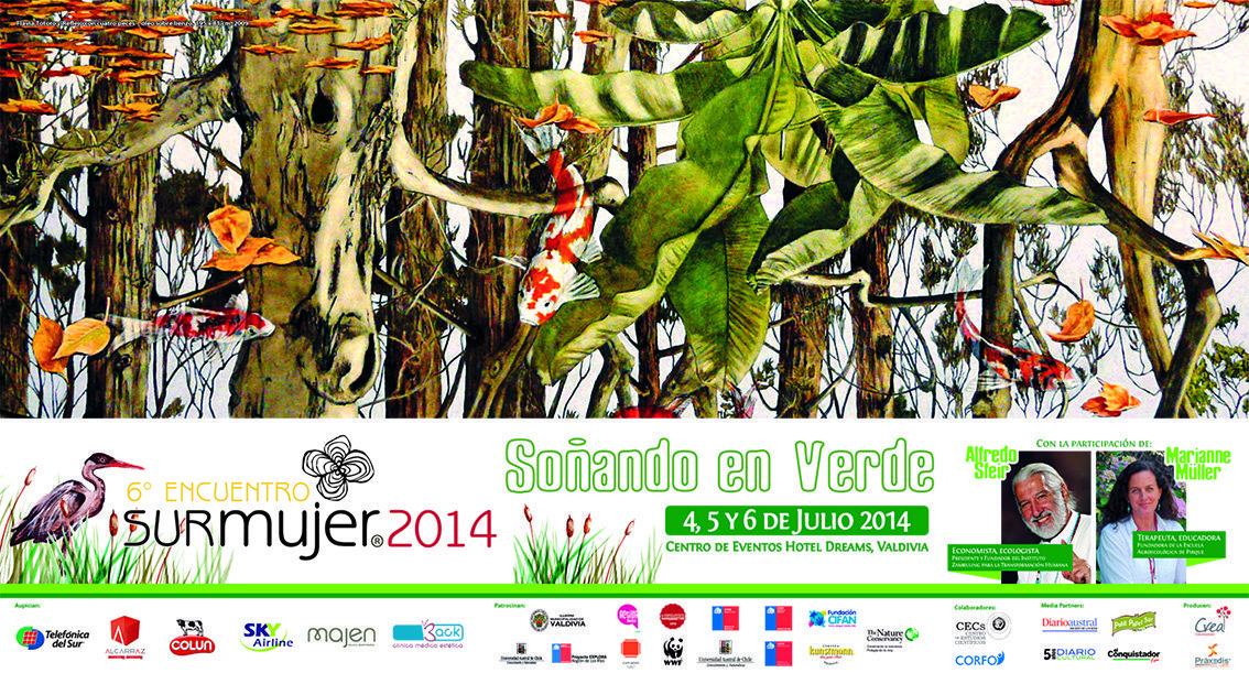 Afiche Sur Mujer 2014