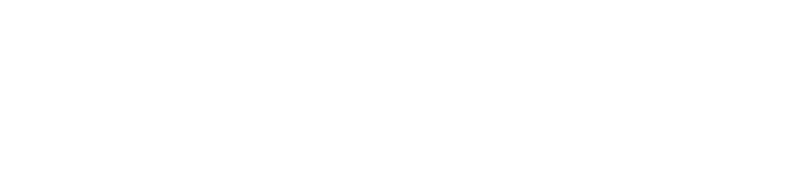 Sur Mujer Logo